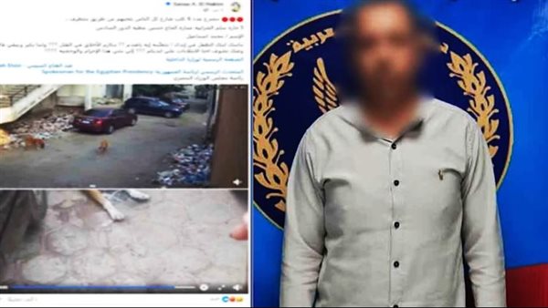 المتهم بتسميم الكلاب