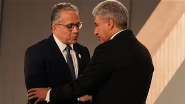 خالد العناني 