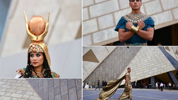 المشاركون في عروض