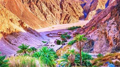 تحتوي على نقوش فرعونية ومرور 40 نبيًا بها.. وديان جنوب سيناء تواريخ دينية ومحطة مهمة للحج المسيحي