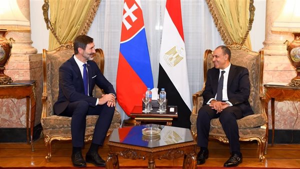  وزير الخارجية