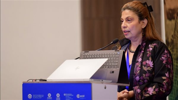 مديرة صندوق دعم الصناعات