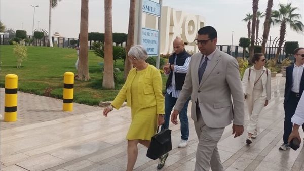 نائب محافظ الأقصر