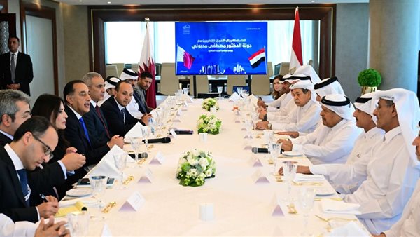 رئيس الوزراء يلتقي