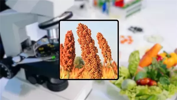 Sorry! Image not available at this time