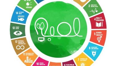 من خريجي كلية العلوم.. “لمبة” مؤسسة تهدف لزيادة الوعي البيئي في مصر