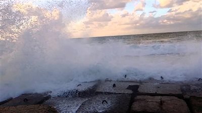 محافظ الإسكندرية: إجازة لجميع طلاب مدارس الإسكندرية بسبب الأحوال الجوية