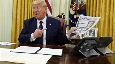 ديلي ميل: فريق ترامب يبحث عن شخص شجاع ليخبره بخسارته الانتخابات