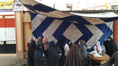 زحام للمواطنين أمام اللجنة الفرعية الخامسة بالمنوفية (فيديو)