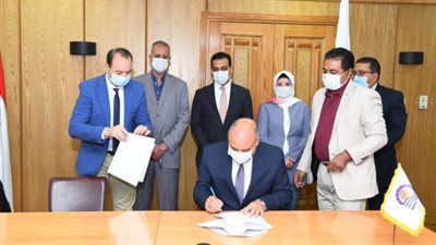 الأكبر في إفريقيا.. زراعة 200 فدان من شجر التوت المُتقزم لإنتاج الحرير بتكلفة 25 مليون دولار بقنا