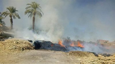 بسبب عقب سيجارة.. حريق يلتهم مخلفات زراعية بمنطقة البياضية في قنا وشكاوى من تأخر المطافئ (صور)