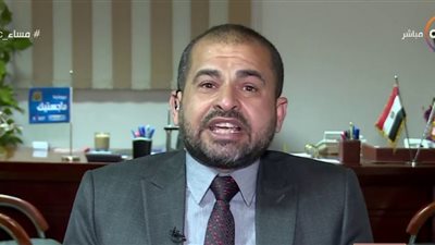 لماذا خصمت وزارة المالية 15% من مستحقات المصدرين؟.. عضو اتحاد المستثمرين يجيب