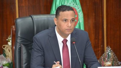 محافظ الدقهلية: أمطار ثلجية على المنصورة وتعطيل الدراسة غدًا (فيديو)