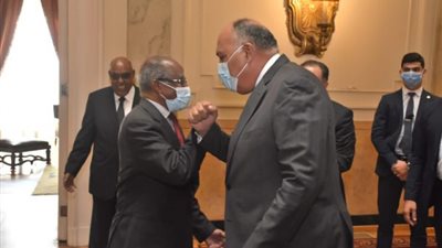 وزير الخارجية يبحث مع نظيره الإريتري تعزيز العلاقات الثنائية (صور)