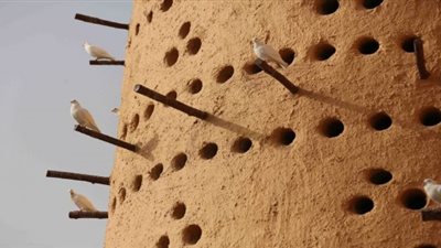 صناعة أبراج الحمام.. تراث مصري مهدد بالانقراض