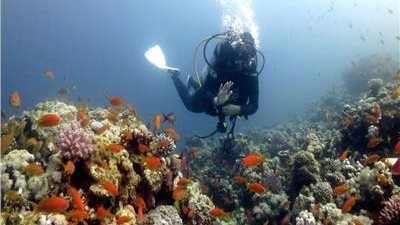 السياحة: غلق 7 مراكز غوص وأنشطة بحرية مخالفة بجنوب سيناء