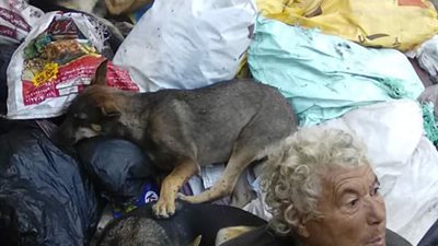 بعد سيدة المطر.. ما خطوات إنقاذ المشردين في الشوارع؟.. “التضامن” توضح