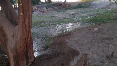 “فعلها الجبان وهرب”.. مياه الصرف الصحي تُغرق مقابر قرية حجازة بقنا