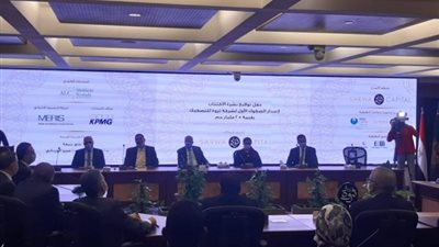 رئيس قطاع التمويل بالرقابة المالية: إصدار صكوك بـ10 مليارات جنيه في 2021