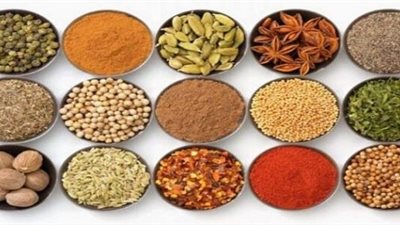 أستاذ بالقصر العيني: الطب النبوي انتهى بوفاة النبي محمد (فيديو)