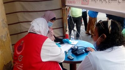 “اكشف وانتخب”.. فرق حملة 100 مليون صحة تنتشر أمام اللجان الانتخابية بقنا (فيديو)