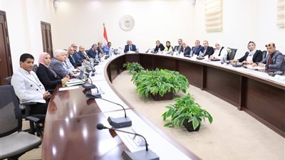 التعليم العالي: صندوق الاستشارات يتعاون في إنشاء الحرم الجديد للجامعة الأهلية الفرنسية بمصر