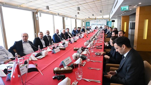 وزير الاستثمار