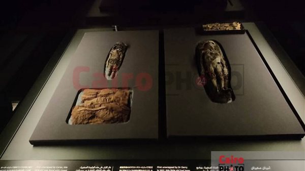 أجنة بنات توت عنخ