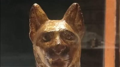 متحف التحنيط بالأقصر يسلط الضوء على قصة المعبود باستت احتفالا بعيد الحب المصري