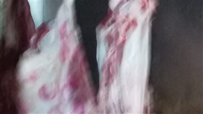 ضبط 120 كيلو لحوم غير صالحة للاستهلاك الآدمي في بنها