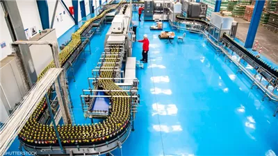 الصناعات الغذائية المصرية تحقق رقمًا قياسيًا جديدًا في الصادرات بقيمة 5.1 مليار دولار خلال 9 أشهر