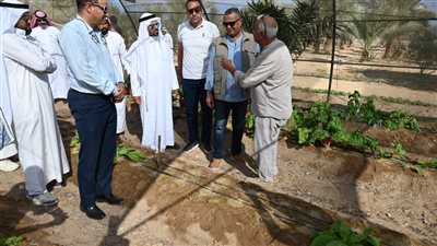 محافظ جنوب سيناء يتفقد مشروعات التنمية الزراعية في نويبع
