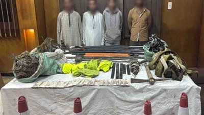 القبض على المتهمين بسرقة كابلات الإنترنت في سوهاج|صور