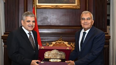 رئيس الشيوخ يستقبل رئيس هيئة قناة السويس: مستعدون للتعاون بما يحقق صالح الوطن