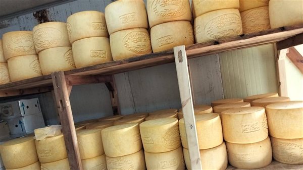 جانب من المضبوطات