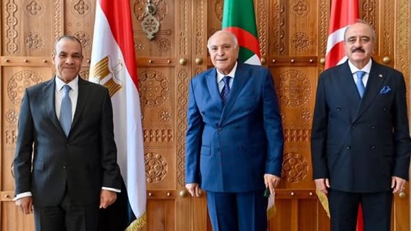 وزير الخارجية يشارك