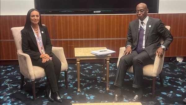 وزيرة التضامن ومساعد