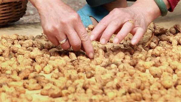  صورة تعبيرية 