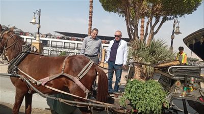 محافظ الأقصر يجري جولة مفاجئة لمتابعة مستوى النظافة والانضباط بالشوارع والميادين الرئيسية