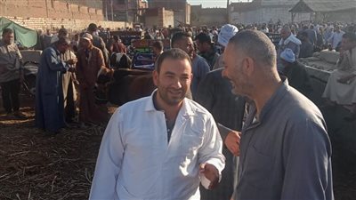 تحصين 44 ألف رأس ماشية ضمن الحملة القومية الثالثة لحماية الثروة الحيوانية ببني سويف