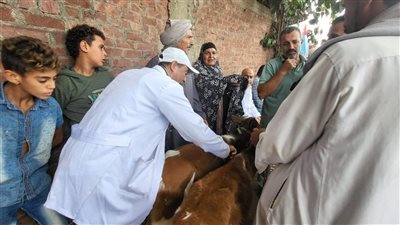 محافظ القليوبية يتابع مجهودات الحملة القومية لتحصين الثروة الحيوانية للوقاية من الأوبئة