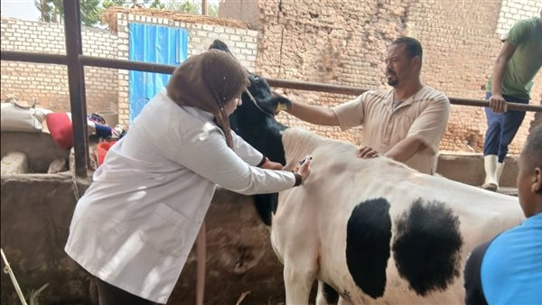 تحصين الماشية 