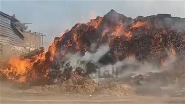 Sorry! Image not available at this time