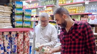 غلق 77 منشأة وتحرير 722 محضرًا خلال حملات مفاجئة بالإسكندرية