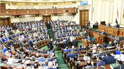 بهاء أبو شقة: تعديلات قانون الإجراءات الجنائية الجديد في صالح المواطن