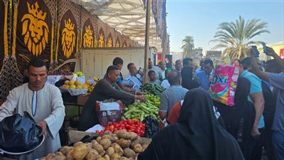 تموين الأقصر: افتتاح 40 سوقًا لليوم الواحد وصرف 82.5 مليون رغيف بلدي خلال أكتوبر