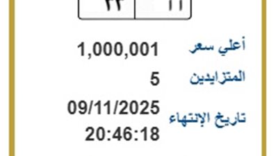 مزاد على لوحة مرور مميزة أ أ 33 بسعر يتخطى المليون جنيه