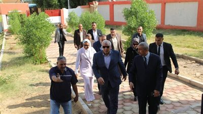 قبل ساعات من انطلاق الاستحقاق الانتخابي.. محافظ الوادي الجديد يتفقد جاهزية لجان انتخابات النواب