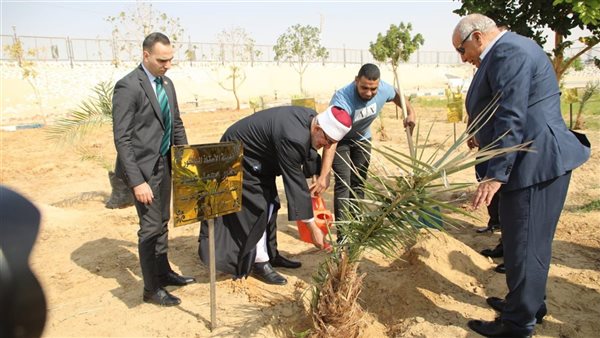 مفتي الجمهورية 