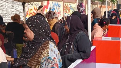 حيثيات إلغاء انتخابات النواب في الدائرة التاسعة بالبحيرة: تسويد بطاقات الاقتراع بالخارج ومنع حضور الوكلاء والمندوبين خلال الفرز